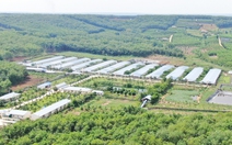 Doanh nghiệp tăng lợi thế từ xanh hóa hoạt động sản xuất