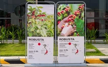Highlands và hành trình đưa bản sắc cà phê Việt vươn ra thế giới