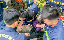 Cứu hộ thành công cụ bà 84 tuổi rơi xuống giếng nước