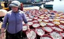 Chấm dứt thu phí trái quy định ở bến cá Lăng Ông