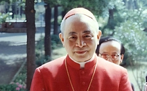Mật nghị hồng y, bí mật trong nhà nguyện Sistine - Kỳ cuối: Các hồng y Việt Nam đã tham gia mật nghị