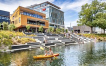 18 trường từ New Zealand dạy STEM miễn phí cho học sinh Việt Nam