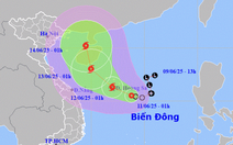 Hôm nay, áp thấp nhiệt đới mạnh lên thành bão số 1, nhiều nơi mưa vừa đến mưa to