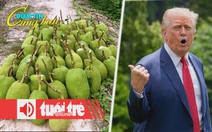 Điểm tin 18h: Mít Thái, ổi, xoài đồng giá 1.000 đồng/kg; Ông Trump nói thống đốc California bất tài