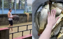 Cả nhà cầm lưới, nơm, rổ ra đường bắt cá mùa mưa lũ