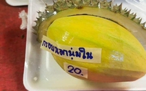 Ảnh vui 14-6: Nhìn rất sầu riêng, nhưng lại là xoài!