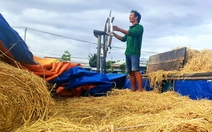 Thương hồ theo những mùa rơm