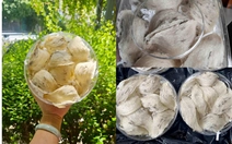 Yến sào giá rẻ tràn lan, chất lượng mơ hồ