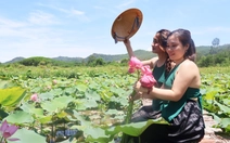 Đẹp ngỡ ngàng mùa sen Trà Lý, du khách ùn ùn đến check-in
