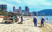 Khẩn trương thu dọn bèo tây ‘bủa vây’ bãi biển Đà Nẵng