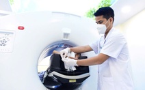 Nhiều bệnh viện phía Nam đồng loạt ngừng chụp PET/CT, vì sao?