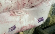 Heo bệnh mà lại đóng dấu 'được đưa ra thị trường' là sai
