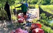 Cá chết la liệt do bị cuốn vào tua bin nhà máy thủy điện