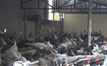 Cảnh sát giao thông mời 5.400 chủ xe vi phạm lên giải quyết tang vật