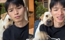 Chú chó giận dỗi vì cậu chủ quát nạt