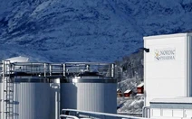 Khám phá Nordic Naturals - Hành trình Omega-3 từ biển khơi