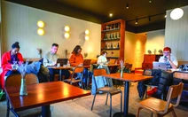 Bốn bể là nhà, quán cà phê là công sở