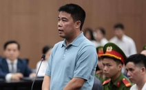 Chủ tịch Tập đoàn Phúc Sơn Nguyễn Văn Hậu bị kết án 30 năm tù