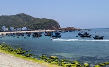 Gia Lai cấm 650 tàu cá không đủ điều kiện ra khơi đánh bắt