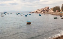 Về nhà là hành trình tuyệt vời nhất trong tim