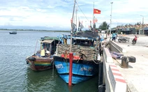 Hai thuyền trưởng tàu cá ở Quảng Ngãi bị phạt hành chính 125 triệu đồng