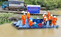 Thủy điện Buôn Kuốp thả cá giống, bảo vệ nguồn lợi thủy sản