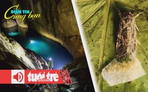 Điểm tin 8h: Hang Sơn Đoòng là bối cảnh phim Ấn Độ; Côn trùng có thể nghe cây cối nói chuyện