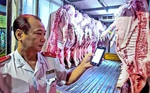 Tỉnh Phú Thọ: Chặn dịch tả heo châu Phi từ lò giết mổ