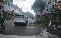 TP.HCM mưa dông giữa trưa, cây xanh ngã đổ nhiều nơi
