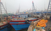 Thanh Hóa cấm biển từ 8h ngày 21-7, hàng nghìn tàu cá đã vào bờ