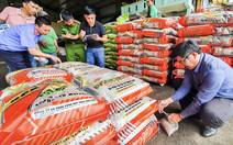 Phân bón giả 'bám rễ' ngành nông nghiệp