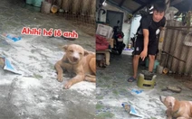 Cậu chủ đòi bỏ nhà đi vì chú chó nghịch ngợm