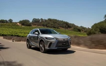 Lexus Việt Nam ra mắt thêm 2 phiên bản RX hybrid