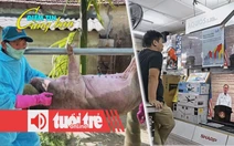 Điểm tin 18h: Dịch tả heo châu Phi lan mạnh; Đông Nam Á phát tiền để kích thích tiêu dùng
