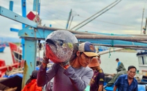 Giá cá ngừ đại dương giảm, ngư dân kéo dài thời gian khai thác