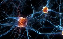 Lần đầu tiên tạo ra tế bào nhân tạo tự di chuyển