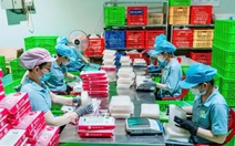 Giá gạo giảm mạnh, doanh nghiệp xuất khẩu bún, phở, bánh tráng… kỳ vọng thắng lớn