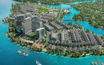 85 dự án nào tại Đồng Nai được Thanh tra Chính phủ yêu cầu và trực tiếp thanh tra?
