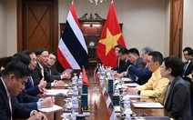 Phó thủ tướng, Bộ trưởng Ngoại giao Bùi Thanh Sơn gặp Ngoại trưởng Thái Lan