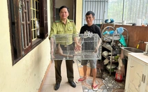 Phát hiện 'khách lạ' lúc nửa đêm, người dân giao nộp tê tê quý hiếm
