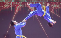 Vovinam Việt Nam biến động ở ghế chủ tịch