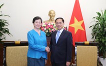 Campuchia cảm ơn Việt Nam tích cực thúc đẩy thỏa thuận ngừng bắn