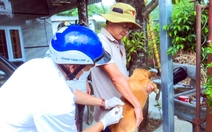 Ăn thịt chó dữ, năm người ở Đồng Nai phơi nhiễm bệnh dại