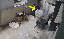 Chồng đứng hình khi vợ ở nhà 'bán hết đàn chim' trong nốt nhạc