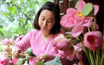 Sen Bách Diệp hồ Tây hồi sinh