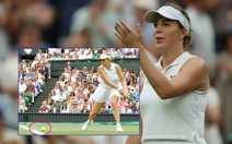 Pavlyuchenkova ‘nổi điên’ vì lỗi công nghệ tại Wimbledon