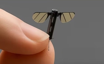 Chuyên gia quân sự lên tiếng về drone nhỏ ‘bằng con muỗi’ của Trung Quốc