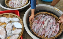 Thị trường Thái Lan 'ghiền' mực, bạch tuộc của Việt Nam, sản phẩm nào 'nóng' nhất?