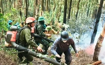 Hàng trăm người đang chữa cháy rừng ở Nghệ An do sét đánh