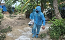 Đắk Lắk nỗ lực xử lý tình trạng xác heo chết vứt bừa bãi vào kênh mương